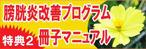 特典２、膀胱炎改善プログラム冊子マニュアル